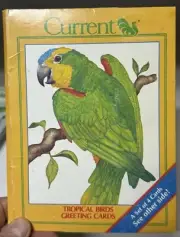 VTG 1980s Era NOS Current Parrots Prints Birds 4 Greeting Cards Assortment New