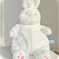 在飛比找樂天市場購物網優惠-慵懶兔子玩偶大白兔公仔睡覺抱枕毛絨玩具娃娃生日禮物女閨蜜