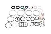 Sunsong Rack and Pinion Seal Kit For 1996-1999 Audi A4 Quattro (for: Audi)