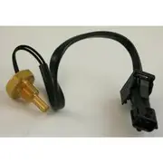 RAE Coolant Temperature Sensor - CS935