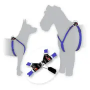BlackDog Wear Dog Harness Step in Style Blue
