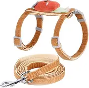 Adjustable Cat Harness and Leash Kit Small Pet Harness Wear-Resistant for Indoor and Outdoor Traction Rope