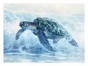 Turtle In Sea Canvas Print