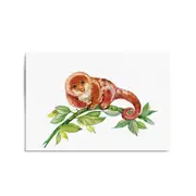 Australian Tree Kangaroo Painting Animal Wall Art