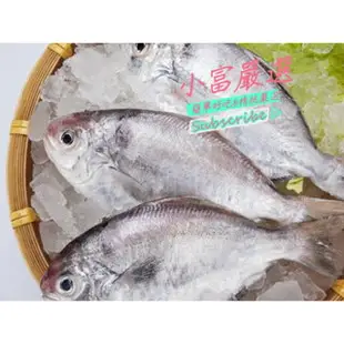 小富嚴選海鮮其他魚項-(肉魚)(肉鯧)(肉鯽魚)(肉好多活冷新鮮肉魚)(肉鯽魚)一件120尾上下