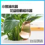 【嗨先生-附發票】自動澆花器 澆花 小鳥滴水器 澆水器 澆花器 自動給水 自動澆花 滲水器 盆栽 園藝 澆花器 給水器