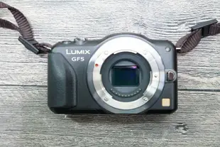 Panasonic LUMIX DMC-GF5