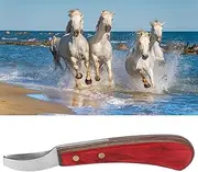 ZephyVita Hoof Knife,Farrier Tools,Hoof Knife for Horses,Hoof Knife Chisel Tool Steel Curved Hoof Trimmer with Wooden Handle for Farrier Horses