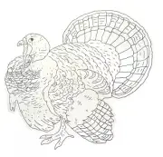 HESTER & COOK Turkey 15.25" x 16" Paper Coloring Placemats Set 12 KP1112 USA NIP