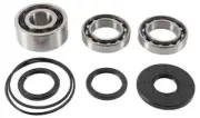 All Balls Front Differential Bearing Kit for Polaris RZR XP Turbo 16-18