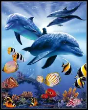 Counted Cross Stitch Kit Needlework Craft Embroidery DIY- Dolphins In Light