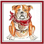 Maroon Bulldog Hometown Pride Cocktail Napkins - 40 Count | 2 Packs of 20CT 3-Ply Party Napkins