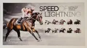 LEGEND BLACK CAVIAR SPEED OF LIGHTNING OFFICIAL PRINT LUKE NOLEN TOM MOODY