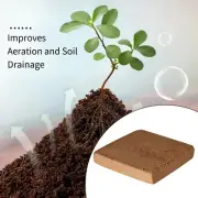 Organic Soil Solution Coco Coir Brick with Excellent Water Holding Capacity