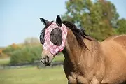Weaver Leather Covered Ear Lycra Fly Mask, Small, Plaid Aztec, 37400-40-249