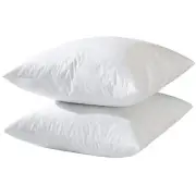 basic home 14x14 Decorative Throw Pillow Inserts-Down Feather Pillow