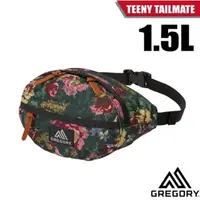 在飛比找蝦皮商城優惠-【GREGORY】超輕可調式腰包 TEENY TAILMAT