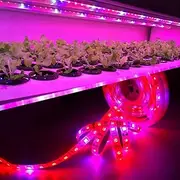 LED Grow Light, 16.4ft Full Spectrum Plant Light With 12V 5A Power Adapter, SMD 5050 Red Blue 4:1 for Indoor Greenhouse Hydroponic Flowers Growing (Waterproof)