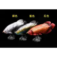 在飛比找蝦皮購物優惠-動物模型 ANIMAL PARADISE 紅龍魚 金龍魚 龍