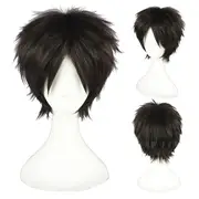 Attack on Titan Costume Wig