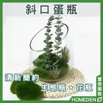 【台灣現貨】斜口蛋瓶 斜口花瓶 生態瓶 造景瓶 斜口玻璃瓶 多肉植物花盆 玻璃花瓶 花器 花盆【HOMEDEN霍登園藝】