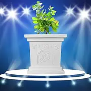 Large Tulsi Planter Kyara, Indoor/Outdoor, UV Resistant, Lightweight, Non Fading, Marble Finish (White Marble, 22.86 cm)