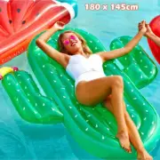 Giant Inflatable Cactus Float Raft Beach Lounger Chair Bed Toy