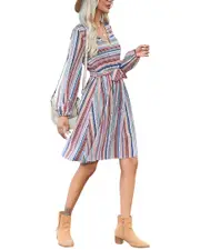 Orniya Mini Dress