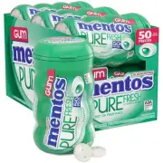 Mentos Gum Bottle Spearmint 50pcs 6CT