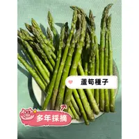 在飛比找蝦皮購物優惠-超高產蔬菜 蘆筍種子Asparagus officinali