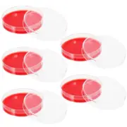 10 Pcs Blood Agar Medium Laboratory Equipment Science Experiment Plates