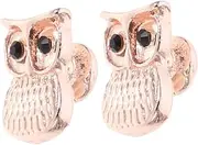 WATIIFUFU 2 Pcs Smart Watch Decorative Ring Charm Straps Dining Table Napkin Rings Round Foam Ring Stand Napkin Rings Hand Warmer Device Jewelry Hubs Tableware Napkin Rings Ring Clasp Alloy