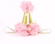 Stock Show 1st Pet Birthday Cone Hat Dogs Cats Holiday Party Hat Headwear Costume with Flowers Accessories and Adjustable Headband for Small Medium Dogs Cats Pets Baby (Pink)