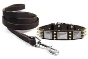 Dean and Tyler Bundle - "Devilish Della" Collar 26x1.5" With Leash 6 FT Brown