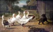 Art Farm Goose Puppy Mural Ceramic Backsplash Bath Tile #2167