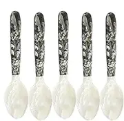 Caviar Spoons Shell Spoon - Shell Pearl Spoon Set - Decorative Caviar Server Caviar Spoons for Caviar Egg Ice Cream Coffee