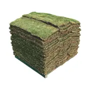 Nullarbor Couch 40m² Turf - Pallet