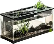 Small Aquarium, Fish Tank with Filter, Desk Turtle Hydroponic Plant Aquarium, Fish Tank Starter Kits with Air Pump for Tabletops, Living Room, Home