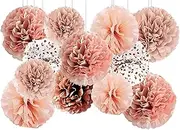 12Pcs Rose Gold Hanging Tissue Paper Pom Poms,Pompoms Flowers for Ceiling Party Decorations