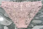 NEW Victoria Secret Dream Angels Floral Lace Mesh Cheekini - Demure Pink - XL
