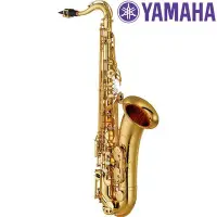 在飛比找Yahoo!奇摩拍賣優惠-小叮噹的店-YAMAHA YTS-480 進階級 次中音薩克