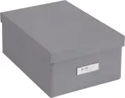 Bigso Karin Collapsible Storage Box | Photo Storage Box with Labelframe for Easy