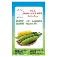 在飛比找momo購物網優惠-【蔬菜工坊】G38-1.黃金868超甜玉米種子