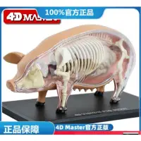 在飛比找蝦皮購物優惠-(MD-E33) 4D Master益智拼裝玩具仿真動物生物