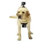 GOPRO配件FETCH犬用固定帶 大疆運動相機狗揹帶胸帶 雙機位狗揹帶