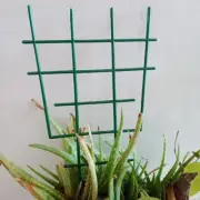 Outdoor Garden Trellis Flowers Cucumber Cages Plant Support