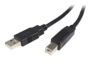 StarTech 2m USB 2.0 A to B Cable - M/M