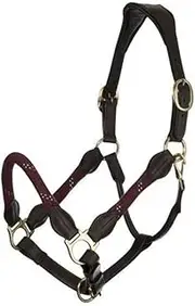 LeMieux Lasso Headcollar