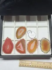 5pc Amber Dyed Pre-Drilled Agate Slices – DIY Jewelry, Crafts, Chimes