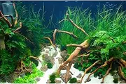 Aquarium Background Various Underwater Grass Plants Aquarium Backdrop Vivid and Fresh Green Aquatic Plants Stone River Bed and Dead Wood Yellow Stone Fish Tank Background 48x18in